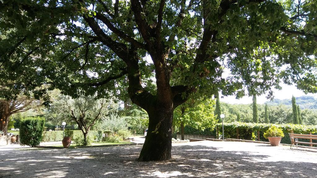 La Locanda Della Chiocciola Orte Exteriér fotografie